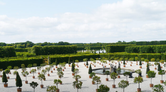 Der Orangenplatz feiert ersten Auftritt im Großen Garten anlässlich des 350. Jubiläums mit einer besonderen Führung