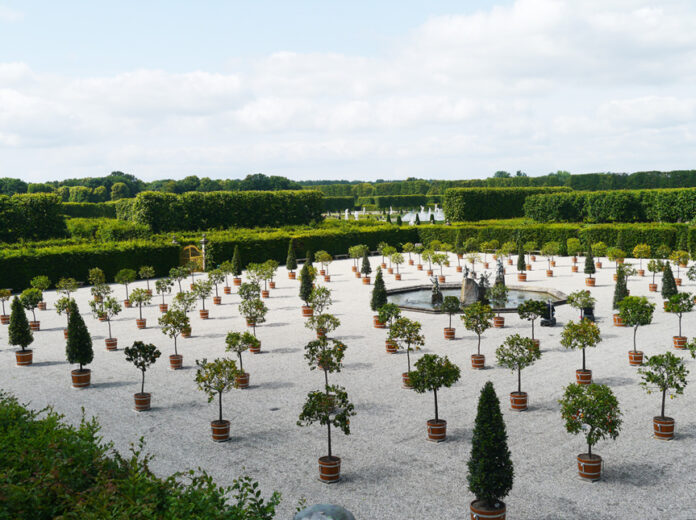 Der Orangenplatz feiert ersten Auftritt im Großen Garten anlässlich des 350. Jubiläums mit einer besonderen Führung