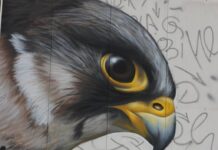 Das Festival für Street Art und Hip Hop-Kultur in Hannover findet vom 25. bis 31. August statt und bietet zahlreiche kreative Erlebnisse