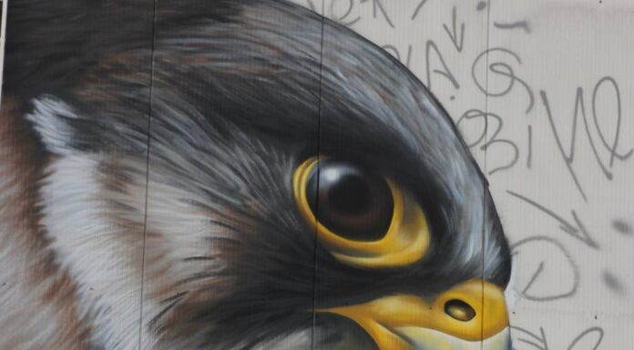 Das Festival für Street Art und Hip Hop-Kultur in Hannover findet vom 25. bis 31. August statt und bietet zahlreiche kreative Erlebnisse