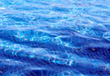 Im Misburger Bad findet der Tag des Schwimmabzeichens am 22. Juni 2023 statt. Schwimmabzeichen können erworben werden