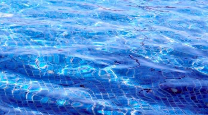 Im Misburger Bad findet der Tag des Schwimmabzeichens am 22. Juni 2023 statt. Schwimmabzeichen können erworben werden