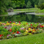 Die Führungen „Grünes Hannover“ bieten freie Plätze für Interessierte, die mehr über Gartenkultur erfahren möchten