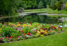 Die Führungen „Grünes Hannover“ bieten freie Plätze für Interessierte, die mehr über Gartenkultur erfahren möchten
