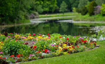 Die Führungen „Grünes Hannover“ bieten freie Plätze für Interessierte, die mehr über Gartenkultur erfahren möchten