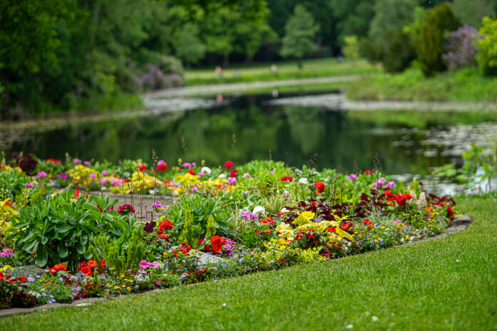 Die Führungen „Grünes Hannover“ bieten freie Plätze für Interessierte, die mehr über Gartenkultur erfahren möchten