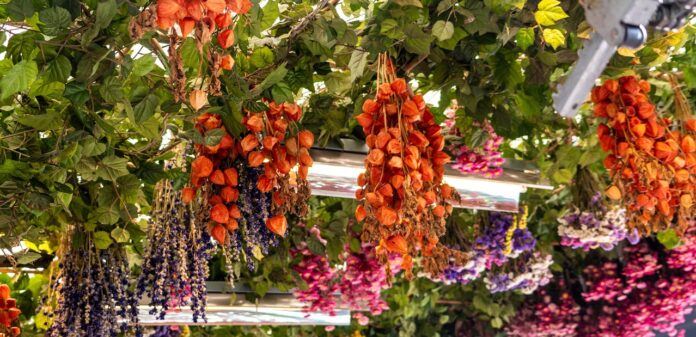Ab Ende August neuer Blumenmarkt auf dem Platz der Weltausstellung Ein neuer Blumenmarkt bringt Farbe und Lebensfreude in die Innenstadt und bietet ein attraktives Angebot für Blumenliebhaber