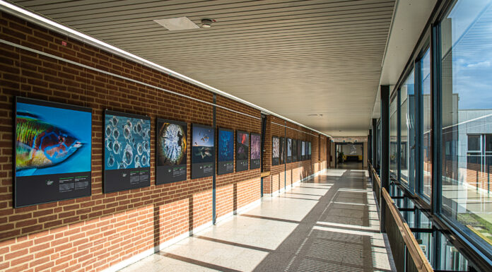 Naturfotografie im KunstGang der MHH - „Europäischer Naturfotograf des Jahres 2022“