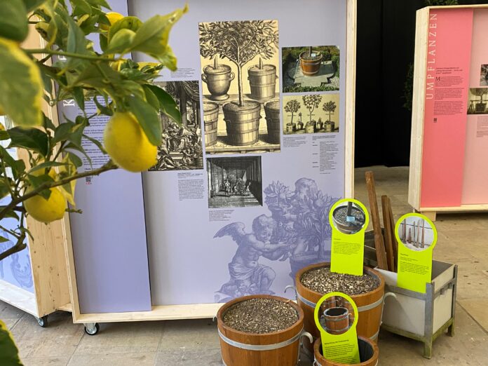 Geschichte der Kübelpflanzenkultur: Auch dazu liefert die Ausstellung in der Orangerie umfassende Informationen Die Jubiläumsausstellung informiert über Gartenpflege und bietet Einblicke in die 350-jährige Geschichte des Großen Gartens