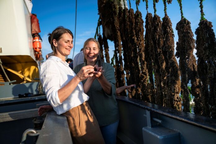 Von der Besatzmuschel zur Delikatesse: Manuele Melle (rechts) stellt Ministerin Miriam Staudte das Säen und Ernten der Miesmuscheln an Bord eines Kutters vor In Niedersachsen stehen starke Frauen in Landwirtschaft, Forstwirtschaft und Fischerei im Fokus der Sommerreise von Ministerin Staudte