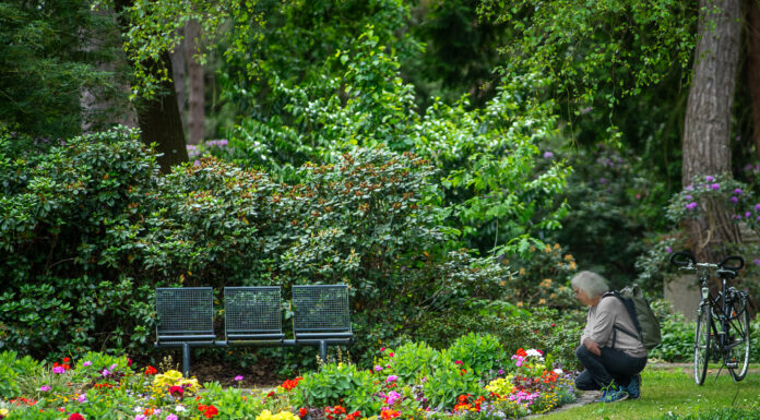 Die Grüne Rätseltour durch Hannovers Grünflächen bietet spannende Erlebnisse für die ganze Familie in den Sommerferien