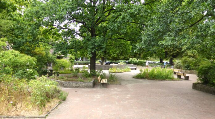 Erneuerung des Spielplatzes und der Grünfläche am Bertha-von-Suttner-Platz Die Erneuerung des Spielplatzes und der Grünfläche am Bertha-von-Suttner-Platz schafft einen modernen Aufenthaltsbereich für alle