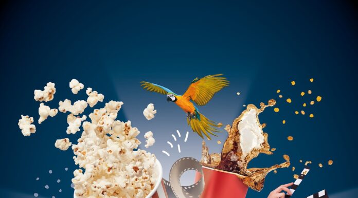 Das Open-Air-Kino im Erlebnis-Zoo bietet Filmklassiker unter freiem Himmel und eine besondere Atmosphäre. Erleben Sie es!