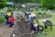 Das Umweltforum des Schulbiologiezentrums bietet die Möglichkeit, mitzumachen und zu forschen. Ein spannendes Programm erwartet die Besucher