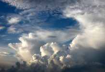 Die Region Hannover gibt Tipps für die Praxis zur Klimaanpassung in der Woche der Klimaanpassung vom 15. bis 19. September 2025