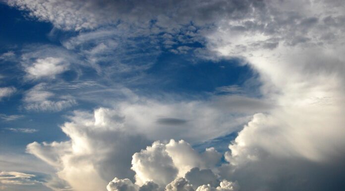 Die Region Hannover gibt Tipps für die Praxis zur Klimaanpassung in der Woche der Klimaanpassung vom 15. bis 19. September 2025