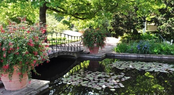 Das städtische Jubiläumsprojekt bietet Kino unterm Sternenhimmel