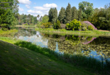 Der Tag des Friedhofs lädt ein, Erinnern, Begegnen und Entdecken zu erleben. Ein vielfältiges Programm erwartet die Besucher
