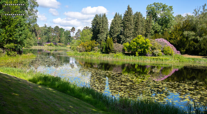 Tag des Friedhofs: Erinnern, Begegnen und Entdecken für alle Besucher Der Tag des Friedhofs lädt ein, Erinnern, Begegnen und Entdecken zu erleben. Ein vielfältiges Programm erwartet die Besucher