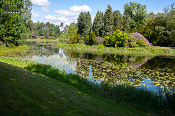 Tag des Friedhofs: Erinnern – Begegnen – Entdecken Der Tag des Friedhofs lädt ein, Erinnern, Begegnen und Entdecken zu erleben. Ein vielfältiges Programm erwartet die Besucher