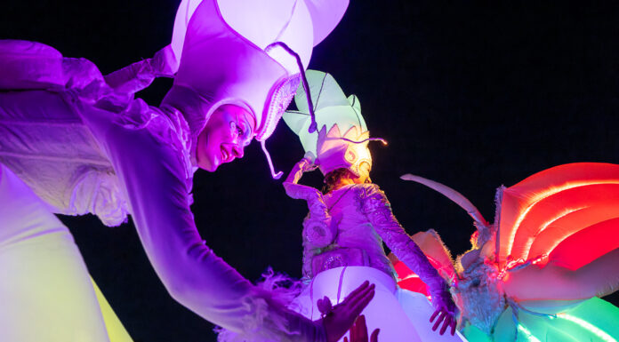 Das Laternenfest im Großen Garten bietet eine besondere Atmosphäre mit Musik und Unterhaltung. Ein Fest für Groß und Klein