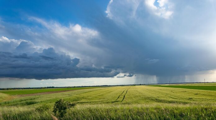 Vortrag und Workshop zur Klimaanpassung: Verstehen und selber machen Die Veranstaltung zur Klimaanpassung bietet praxisnahe Ansätze. Klimaanpassung verstehen und selber machen ist das Ziel