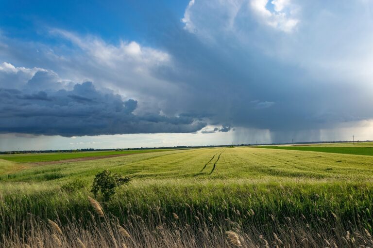 Die Veranstaltung zur Klimaanpassung bietet praxisnahe Ansätze. Klimaanpassung verstehen und selber machen ist das Ziel