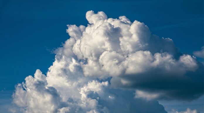 Gemeinsam für ein lebenswertes Stadtklima: Aktionswoche zur Klimaanpassung im September Die Aktionswoche zur Klimaanpassung bietet vielfältige Angebote. Gemeinsam für ein lebenswertes Stadtklima wird hier großgeschrieben