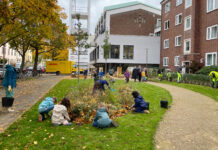 Kinder pflanzen 5.500 Blumenzwiebeln für bunten Begegnungsgarten im Frühjahr Kinder pflanzen 5.500 Blumenzwiebeln für einen bunten Begegnungsgarten, der im Frühjahr erblühen wird