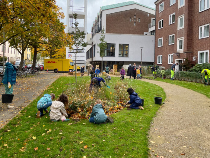 Kinder pflanzen 5.500 Blumenzwiebeln für einen bunten Begegnungsgarten, der im Frühjahr erblühen wird