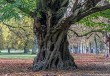 Änderung der Öffnungszeiten im Tiergarten, Wildfleischverkauf startet im November Tiergarten mit geänderten Öffnungszeiten: Ab November startet der Wildfleischverkauf mit nachhaltigen Angeboten