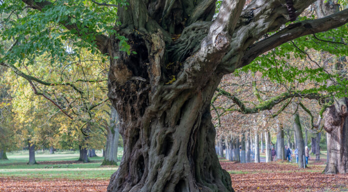 Änderung der Öffnungszeiten im Tiergarten, Wildfleischverkauf startet im November Tiergarten mit geänderten Öffnungszeiten: Ab November startet der Wildfleischverkauf mit nachhaltigen Angeboten