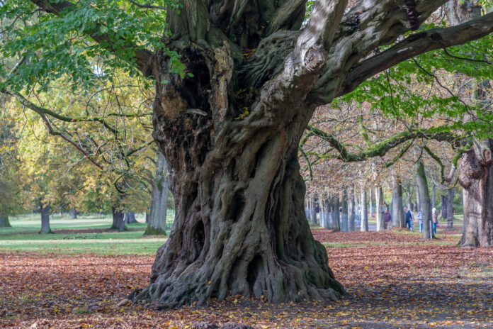 Der Tiergarten passt seine Öffnungszeiten an und startet den Wildfleischverkauf im November Tiergarten mit geänderten Öffnungszeiten: Ab November startet der Wildfleischverkauf mit nachhaltigen Angeboten