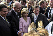 25 Jahre EXPO 2000: Der Fotograf Hassan Mahramzadeh zeigt noch einmal die Bilder der Weltausstellung 25 Jahre EXPO 2000: Der Fotograf Hassan Mahramzadeh zeigt noch einmal die Bilder der Weltausstellung im Neuen Rathaus