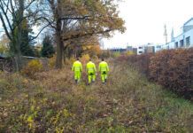 Neues Naturerlebnis in Mittelfeld: Stadtgrün für mehr Lebensqualität Neues Naturerlebnis in Mittelfeld: Attraktives Stadtgrün mit neuen Wegen, Gehölzen und Wiesen sorgen für ökologische Aufwertung