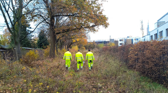 Neues Naturerlebnis in Mittelfeld: Attraktives Stadtgrün mit neuen Wegen, Gehölzen und Wiesen sorgen für ökologische Aufwertung