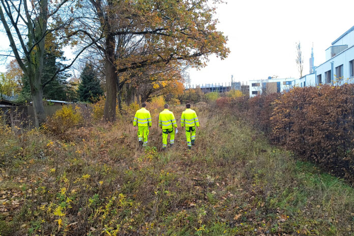Neues Naturerlebnis in Mittelfeld - Neues Naturerlebnis in Mittelfeld: Attraktives Stadtgrün mit neuen Wegen, Gehölzen und Wiesen sorgen für ökologische Aufwertung. Neues Naturerlebnis in Mittelfeld: Attraktives Stadtgrün mit neuen Wegen, Gehölzen und Wiesen sorgen für ökologische Aufwertung