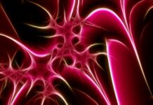 Rausch und Risiko: Digitale Veranstaltungsreihe zu legalen Suchtmitteln für Jugendliche Rausch und Risiko: legale Suchtmittel im Fokus. Digitale Veranstaltungsreihe informiert über Risiken für Jugendliche