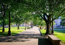 Abschied vom Beton: Braunschweiger Platz wird grün und einladend Der Braunschweiger Platz wird grün und einladend: Klimafreundliche Maßnahmen verbessern das Stadtklima und die Aufenthaltsqualität