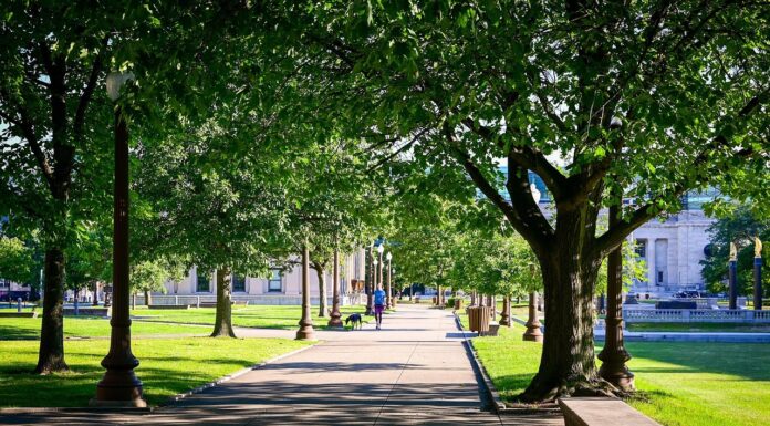 Der Braunschweiger Platz wird grün und einladend: Klimafreundliche Maßnahmen verbessern das Stadtklima und die Aufenthaltsqualität