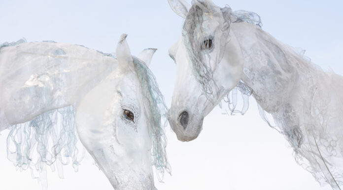 Vorfreude und Magie unterm Weihnachtsbaum: Der Ticket-Vorverkauf für das Kleine Fest 2026 beginnt bald am 26. November