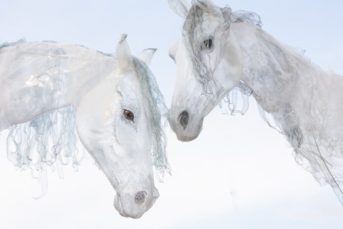 Vorfreude und Magie unterm Weihnachtsbaum: Der Ticket-Vorverkauf für das Kleine Fest 2026 beginnt bald am 26. November