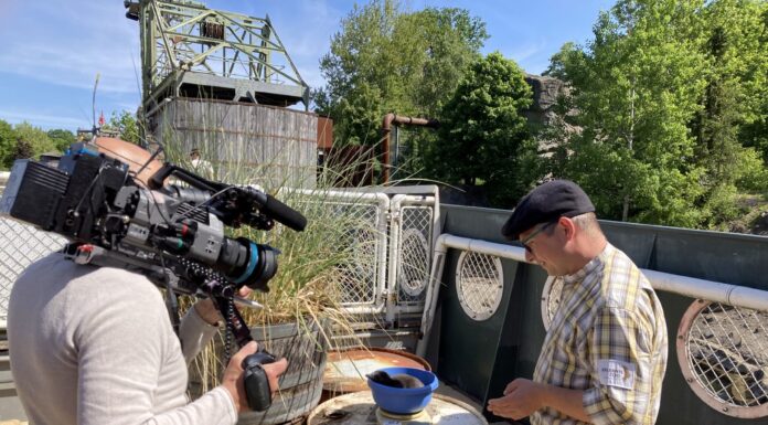 Seelöwe & Co. startet am 08. Dezember mit neuen Folgen im NDR Fernsehen und in der ARD Mediathek. Spannende Einblicke garantiert