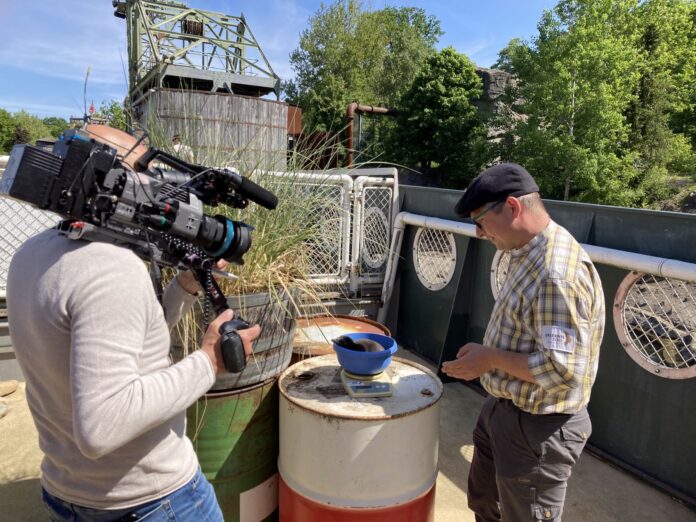 Seelöwe & Co. startet am 08. Dezember mit neuen Folgen im NDR Fernsehen und in der ARD Mediathek. Spannende Einblicke garantiert