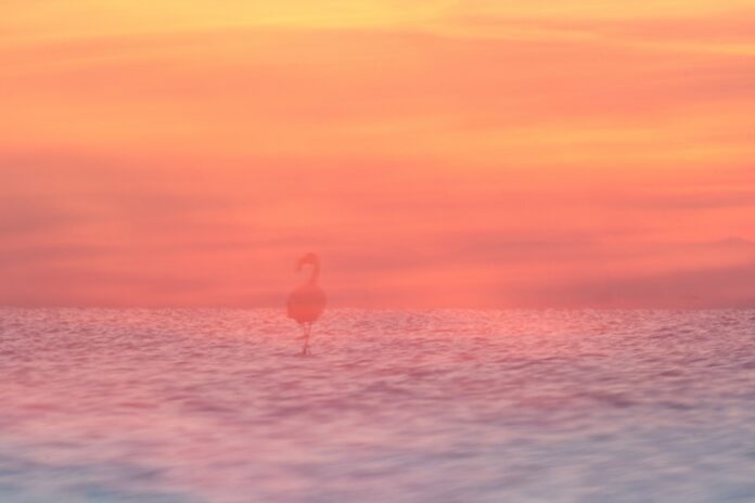 Fotoausstellung "Malen mit der Kamera" von Anja Mickel im KunstGang der MHH Fotoausstellung "Malen mit der Kamera" der Fotografin Anja Mickel im MHH KunstGang