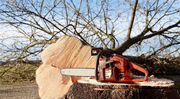 Bau des neuen Fössebades: Vorbereitende Arbeiten beginnen und Bäume werden gefällt. Stadtverwaltung sorgt für Ausgleich
