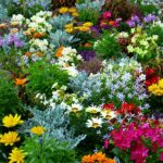 Schlussspurt: Noch bis zum 23. Januar sind Anmeldungen für die Offene Pforte möglich. Gärten öffnen ihre Türen für Besucher