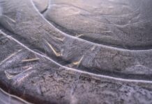 Betreten zugefrorener Gewässer lebensgefährlich – Stadtverwaltung warnt eindringlich Betreten zugefrorener Gewässer lebensgefährlich: Stadtverwaltung warnt vor Gefahren am Maschsee und anderen Gewässern