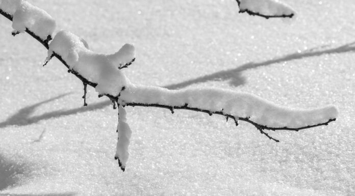 Die Stadtbahn fährt ab 17 Uhr nur noch im Tunnel aufgrund extremer Wetterlage und Sicherheitsrisiken. Aktuelle Informationen zur Lage