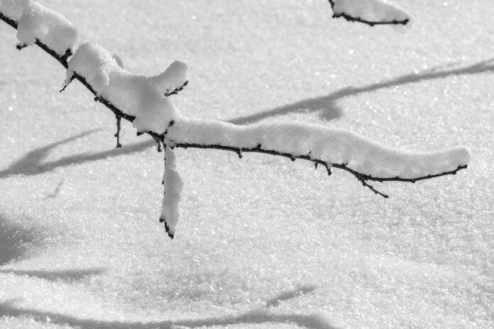 Die Stadtbahn fährt ab 17 Uhr nur noch im Tunnel aufgrund extremer Wetterlage und Sicherheitsrisiken. Aktuelle Informationen zur Lage